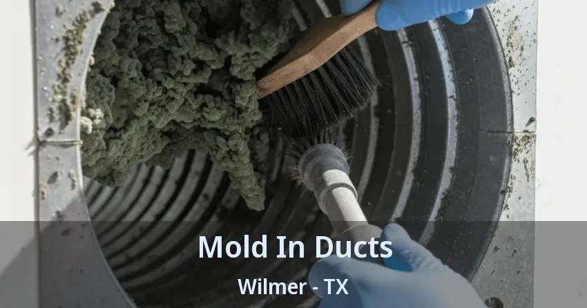 Mold In Ducts Wilmer - TX Mold In Ducts Wilmer - TX